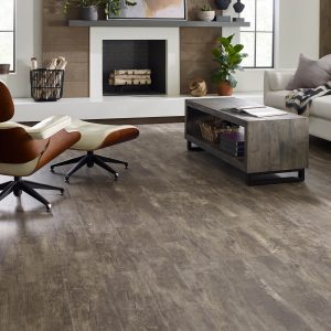 Paramount plus luxury vinyl flooring | Carpet Mart, INC