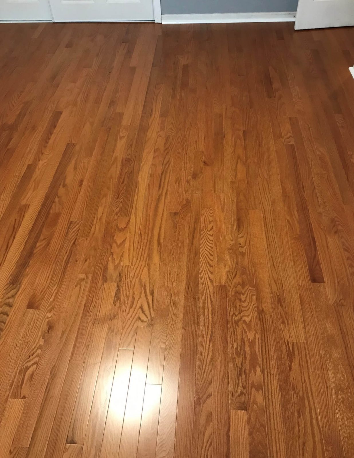 Engineered Hardwood | Carpet Mart, INC
