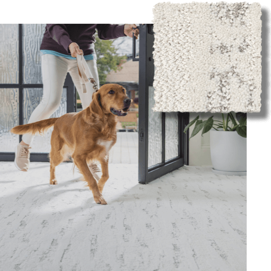 Dog running on floor with lady | Carpet Mart