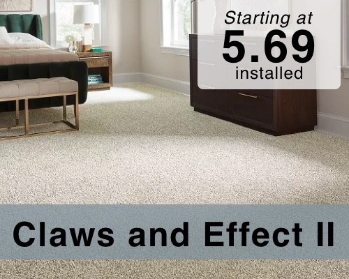 claws and effect | Carpet Mart